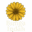bungaindah.biz.id icon