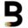 bureauofinvestment.com icon