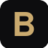 bursaplacerilor.com icon