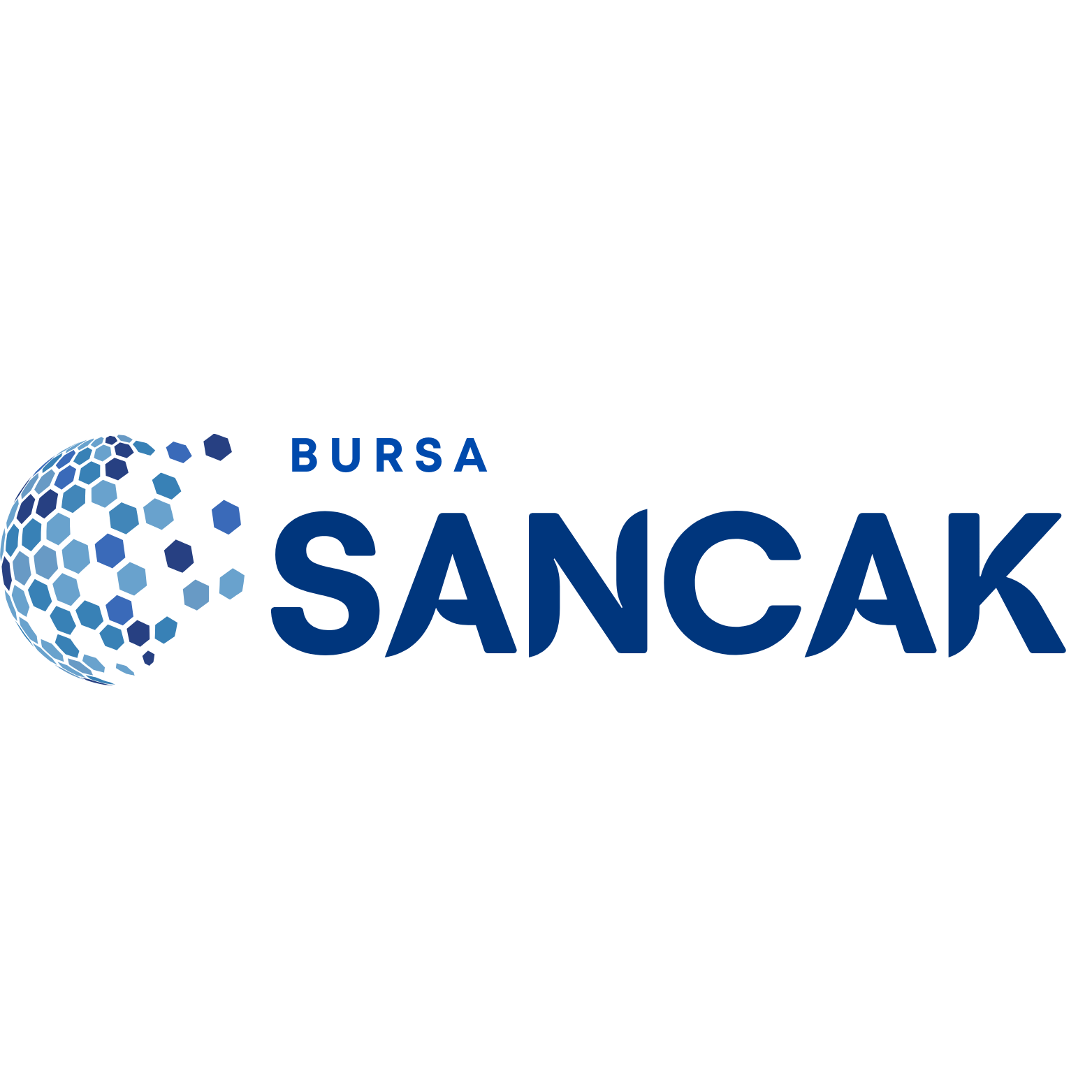 bursasancak.com.tr icon