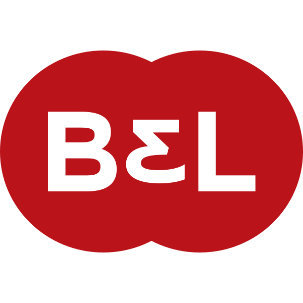 buschle.com.br icon