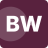 business-woman.ro icon