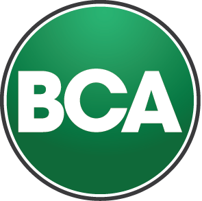 business.co.rs logo