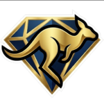butigroove.com icon