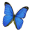 butterflyfuneralsltd.co.uk icon