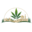 buycannabisisrael.com icon