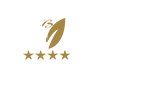 buyukvelicotel.com icon