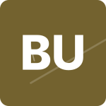 buzzkids.ro icon