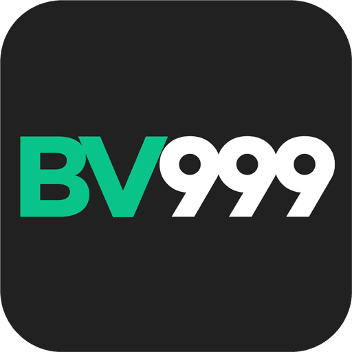 bv999e.com icon