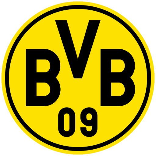 bvbia-northamerica.com icon