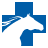 bveh.com icon
