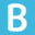 BVG Software Group