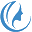 bvlaser.com icon