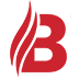 bvs1.no icon