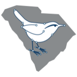 c-light.net logo