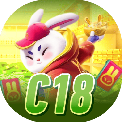 c18navi.com logo