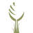 c3gov.com logo