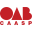 caaspshop.com.br icon