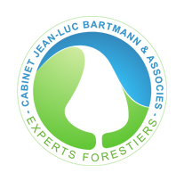 cabinet-bartmann-expert-forestier.fr icon
