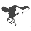 cacg.org.ar logo
