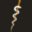 Caduceus Medical Group logo