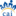 cai-michigan.org icon