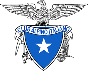 caireggioemiliaapp.it icon