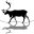 cairngormreindeer.co.uk icon