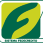 cajaacajutla.com.sv logo