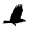 callingallcrows.org icon
