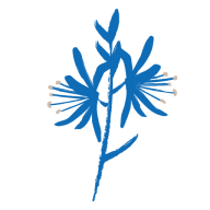 camascenterclinic.org icon