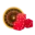 camerawords.my.id icon