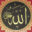 camiyazilari.com icon
