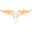 camouflage.ca icon