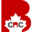 canadabusinessconsulting.com icon