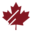 canadarunningseries.com icon