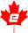 canadianetechnologies.com icon