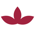 canalicchiodisopra.com icon