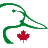 canards.ca icon