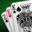 canasta-palace.com icon