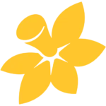 cancerqld.org.au logo