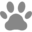 candocanines.org icon