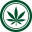 cannabisbusinesstimes.com icon