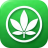 cannabiscbdmarket.com icon