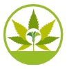 cannabisdirectory.online icon