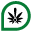 cannabispraevention.de icon