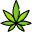 cannabistravelmaps.com icon