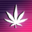 cannacity.net icon