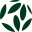 canopyhealthcare.co.nz icon