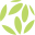 canopyimaging.co.nz icon